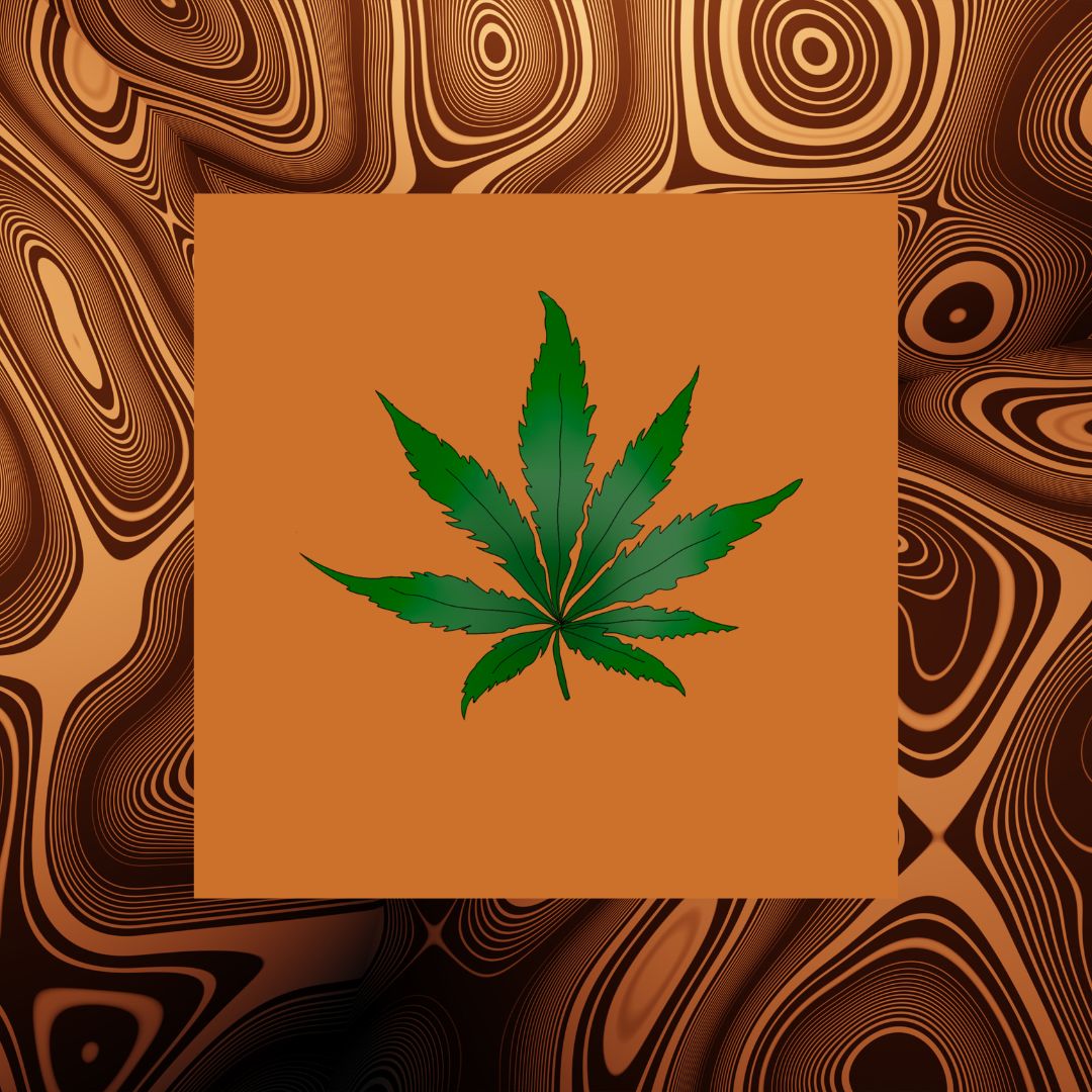 Marijuana Leaf Sticker - Packs
